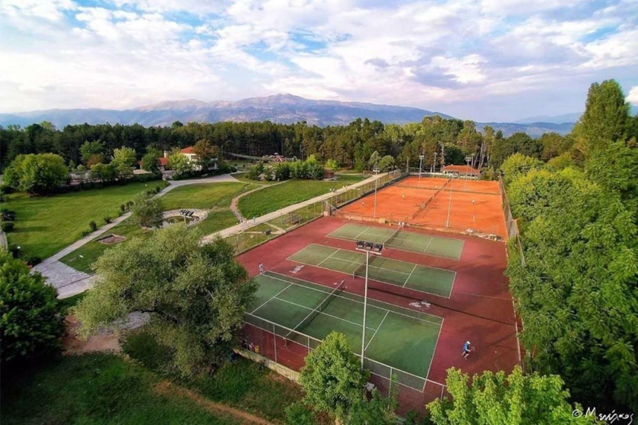 V Luxury Apartment 4 Ioannina Luaran gambar